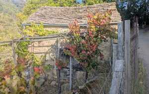 Cabane de vigne