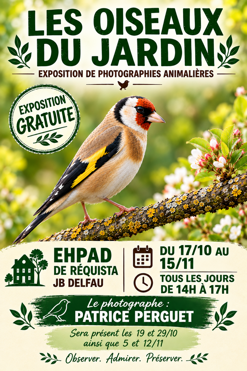 Les oiseaux du jardin à l'honneur