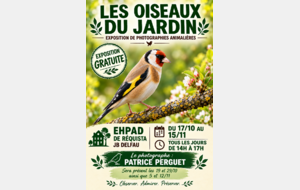 Les oiseaux du jardin à l'honneur